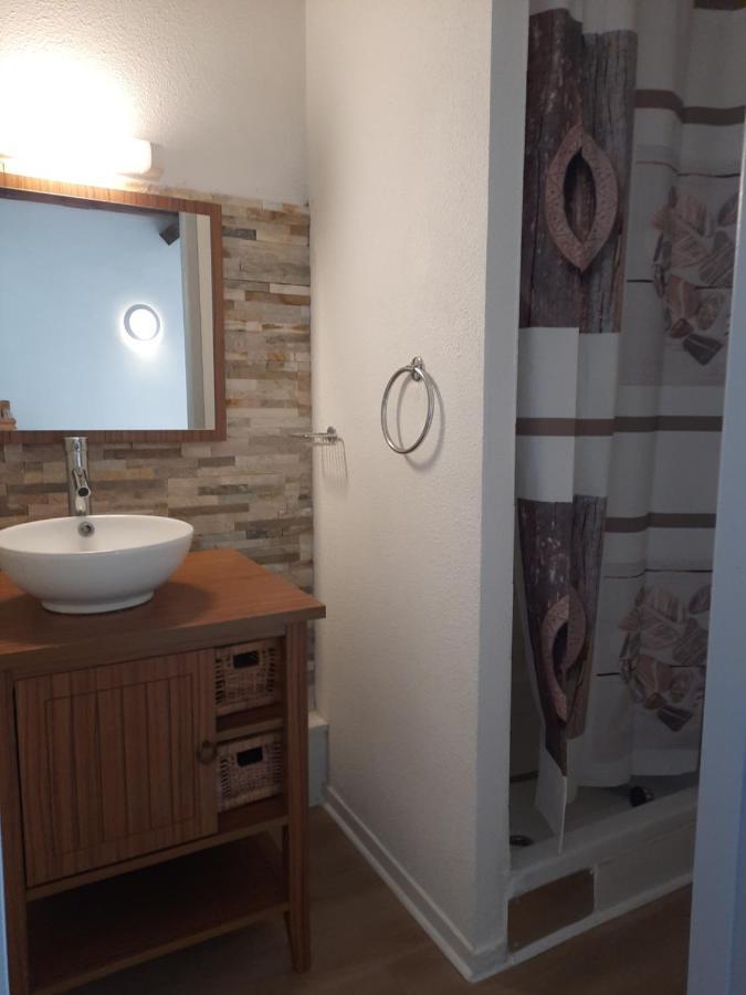 Entre Montagne Et Riviere Apartment Arreau Ngoại thất bức ảnh